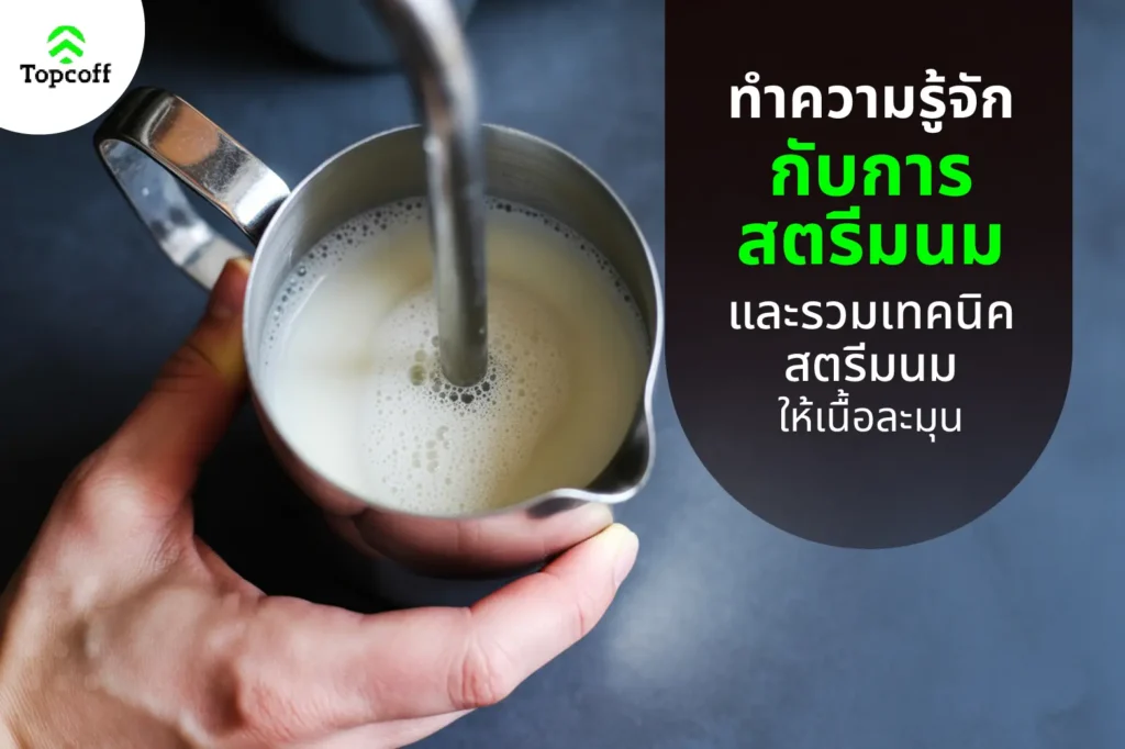 สตรีมนม