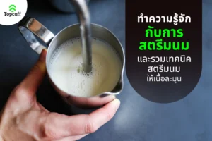 สตรีมนม