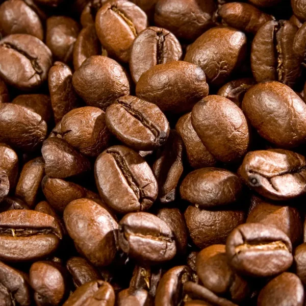 coffee bean webp coffee bean webp